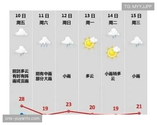 决赛日巴黎晚间有小雨，气温约15摄氏度